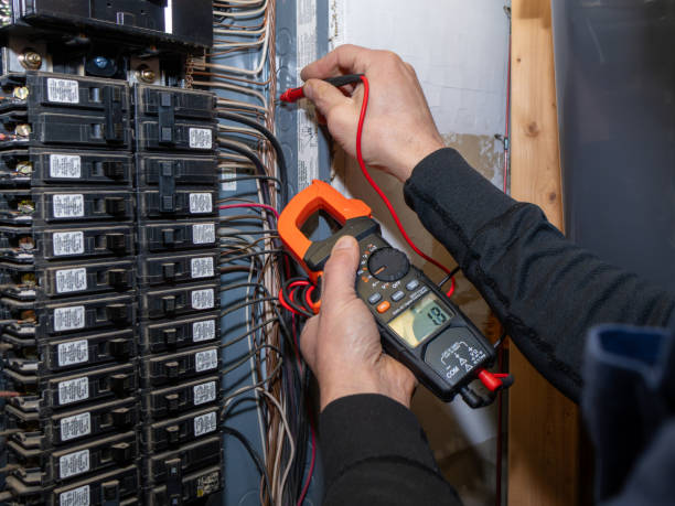 Best Electrical System Inspection  in Nellysford, VA