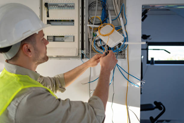 Best Electric Panel Repair  in Nellysford, VA